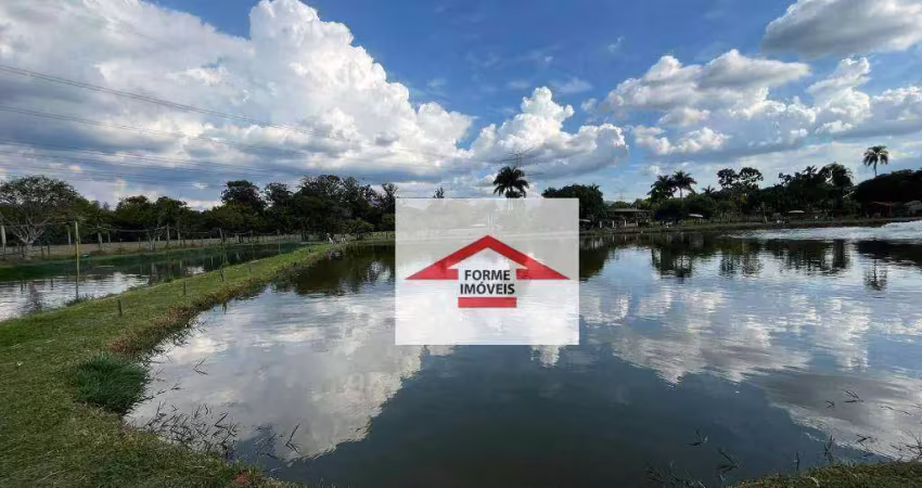Área à venda, 36000 m² por r$ 4.000.000,00 - paineiras - itupeva/sp