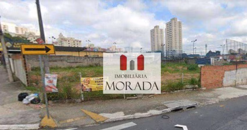 terreno comercial
