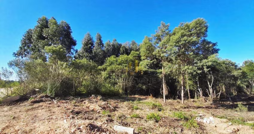 Terreno à venda, 3611 m² por R$ 500.000,00 - Parque do Embu - Colombo/PR