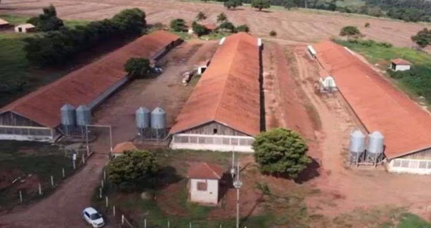 VENDA | Sítio,  em Rural, Ângulo