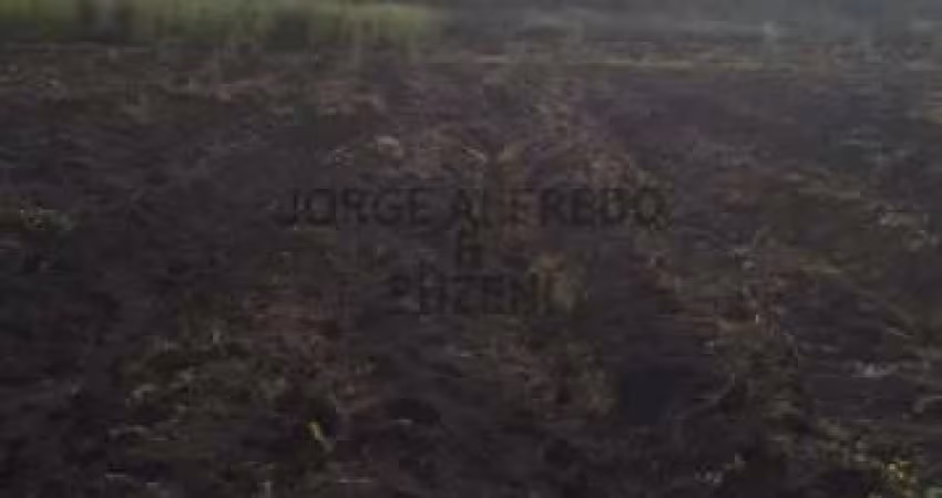 Terreno à venda na Estrada Rio-São Paulo, Santa Cruz, Rio de Janeiro