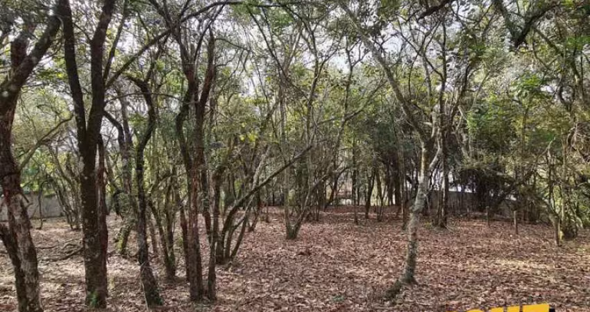 Terreno em condomínio fechado à venda na Vila de São Fernando, Cotia 