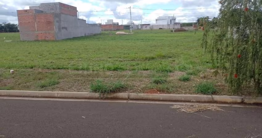 terreno a venda São Geraldo - Saltinho