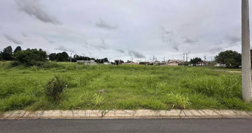 Terreno à venda, Nova Saltinho - Saltinho/SP