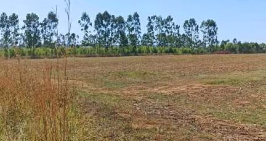Chácara para Venda em Cocalzinho de Goiás, Zona Rural, 2 dormitórios, 1 banheiro, 1 vaga