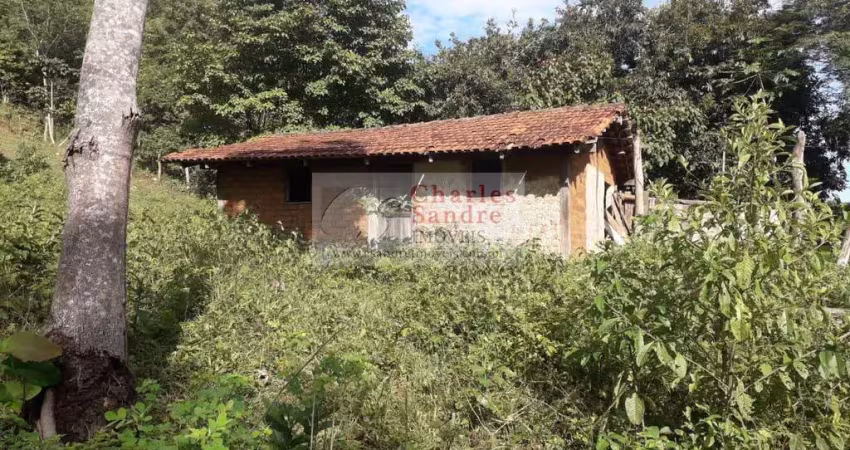 Fazenda para venda em nova iguaçu de goiás, zona rural, 1 dormitório, 1 banheiro, 1 vaga