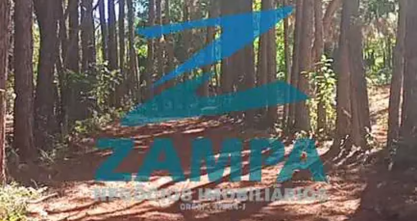 Terreno de 3.500m² sem benfeitorias, com acesso controlado, plano e com muito verde