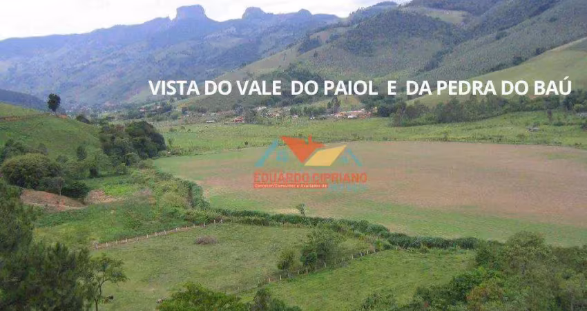Terreno à venda, 9106 m² por r$ 750.000,00 - quilombo - são bento do sapucaí/sp