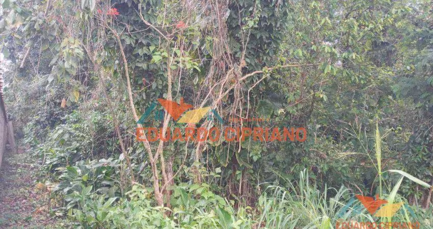 Terreno à venda, 360 m² por R$ 240.000,00 - Massaguaçu - Caraguatatuba/SP
