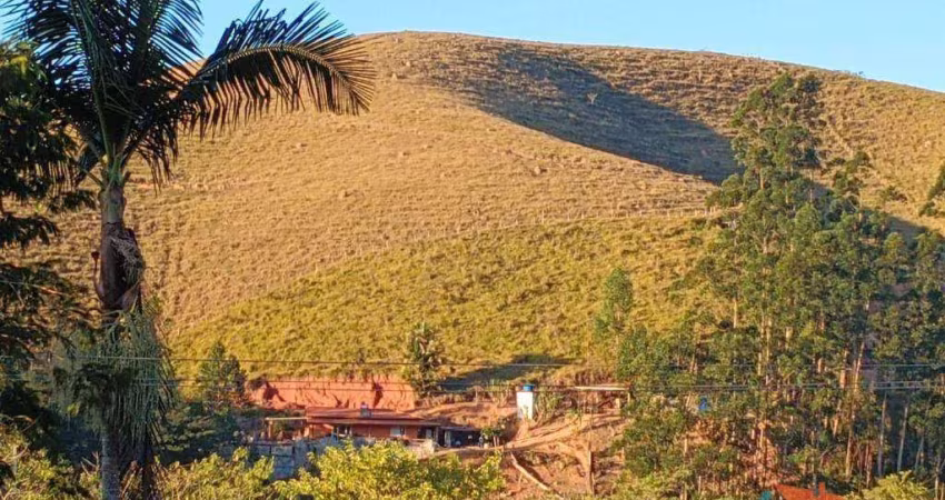 Terreno à venda, 700 m² por R$ 60.000,00 - Comércio  - Paraibuna/SP