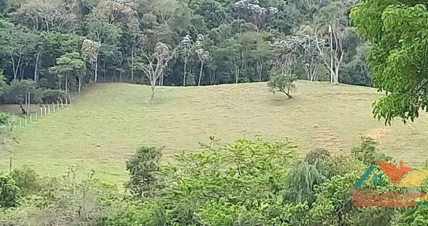 Área à venda, 31000 m² por R$ 330.000,00 - Capim da Angola - Paraibuna/SP