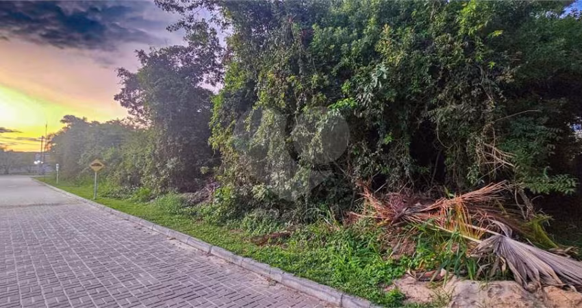 Terreno à venda em Caravelas - RJ