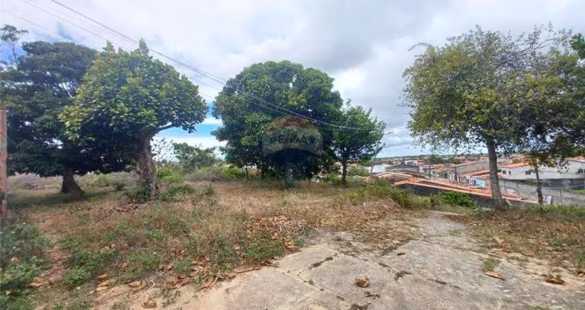 Chácara no porto dantas à 5 minutos do centro, 4.500m², 3 quartos, 1 suíte e excelente localização