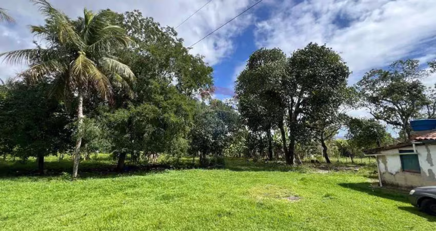 Vende sítio com 15 tarefas no povoado rio verde - areia branca