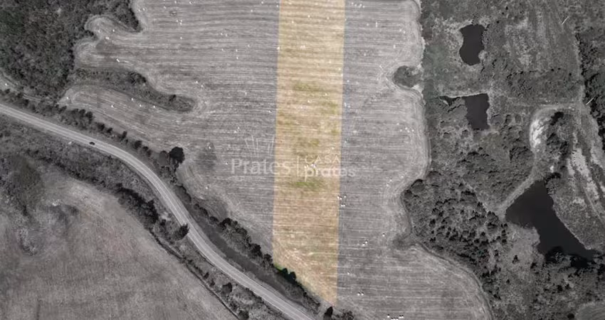 Terreno à venda na Presidente Ernesto Geisel, 4, Colonia Witmarsum, Palmeira