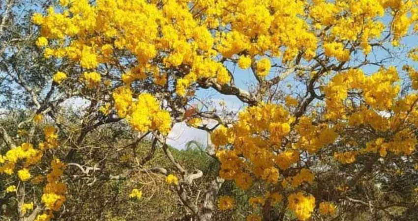Condomínio Recanto do Beija Flor