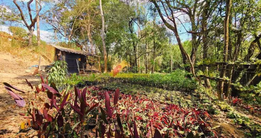Sítio à venda, 1 quarto, área rural de divinópolis - divinópolis/mg