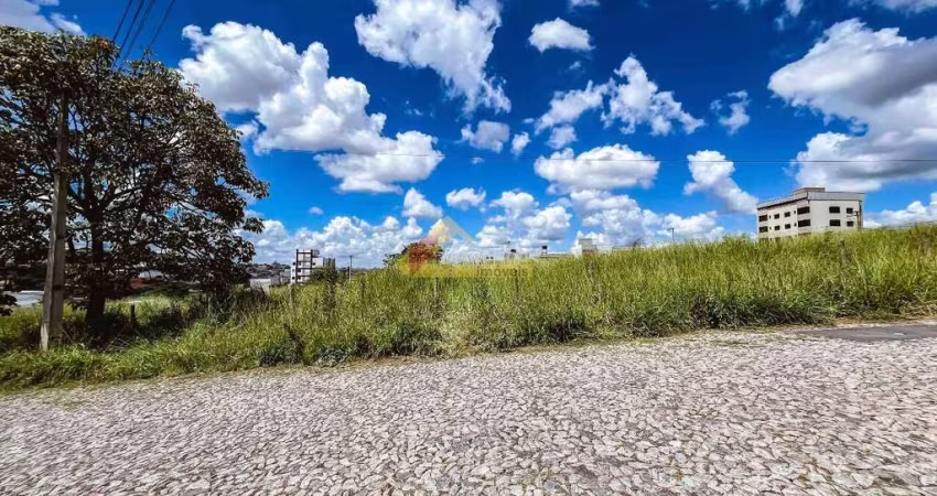 Lote localizado no bairro São Roque