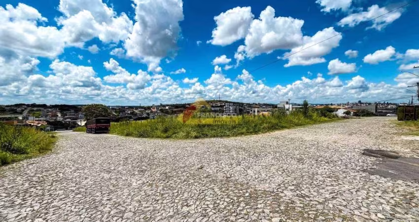 Lote localizado no bairro São Roque