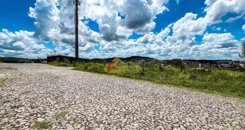 Terreno comercial para alugar no São Roque, Divinópolis 