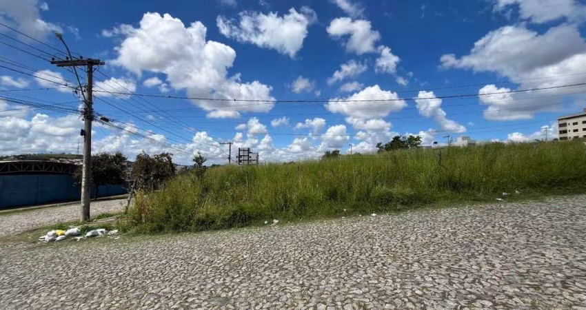 Lote localizado no bairro São Roque
