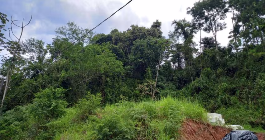 Terreno para Venda em Brusque, Paquetá