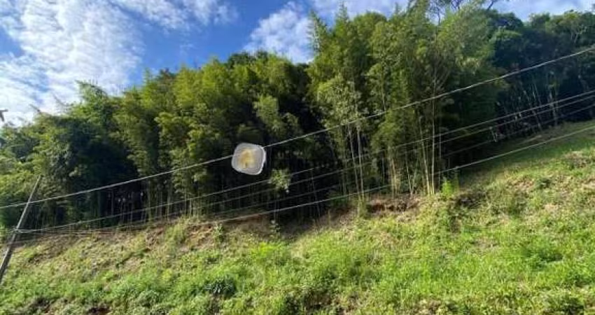 Terreno para Venda em Brusque, SÃO PEDRO