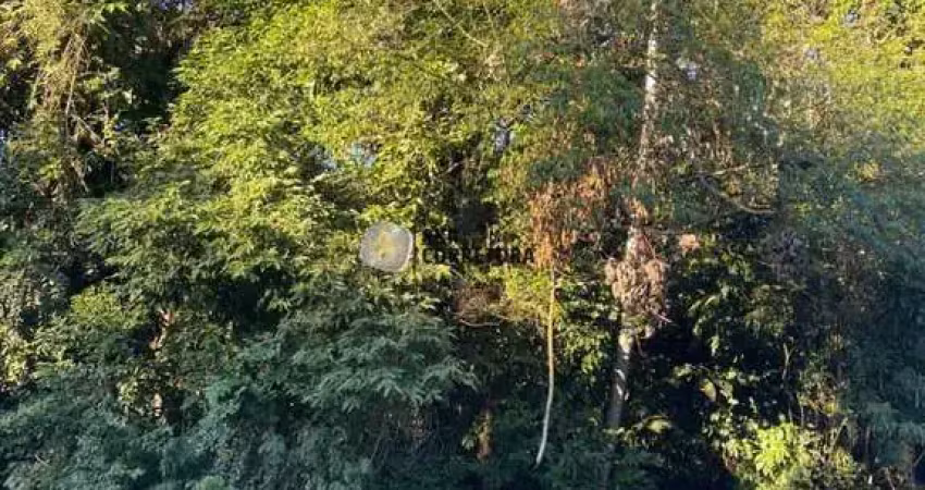 Terreno à venda no Zantão, Brusque 