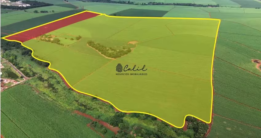 Fazenda à venda, 63 alqueires por r$ 107.000.000 - reserva macaúba - ribeirão preto/sp