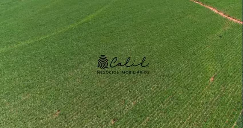 Fazenda com 955,9 hectares em cana, já arrendada à venda por r$ 65.000.000,00 - torrinha/sp