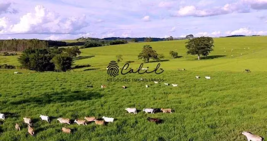 Fazenda com 4 dormitórios à venda, 58,08ha por r$ 7.210.000,00 - marília - marília/sp
