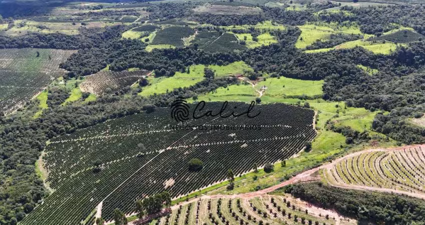 Fazenda de café com 126,32 hectares à venda por r$ 12.000.000,00 - monte santo de minas/mg