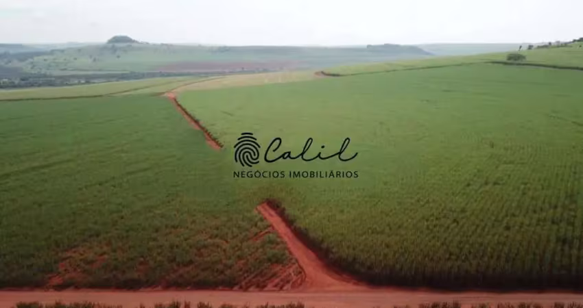 Sítio já arrendado com 26,62 hectares à venda por r$ 3.000.000,00 - santo antônio da alegria/sp