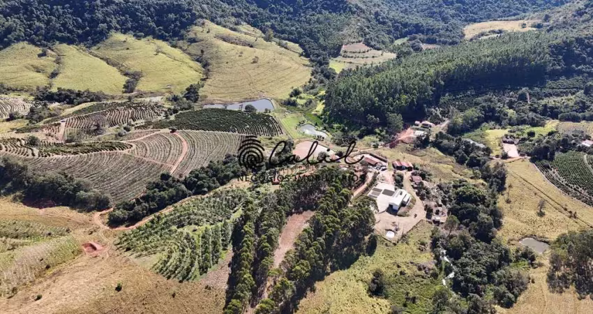 Fazenda com 188ha à venda porteira fechada por r$ 12.000.000,00 - monte santo de minas/mg