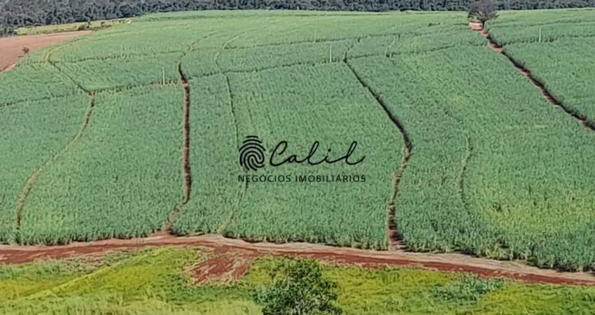 Sítio com 18,88 hectares arrendado para cana de açúcar à venda por r$ 1.800.000,00 - altinópolis/sp
