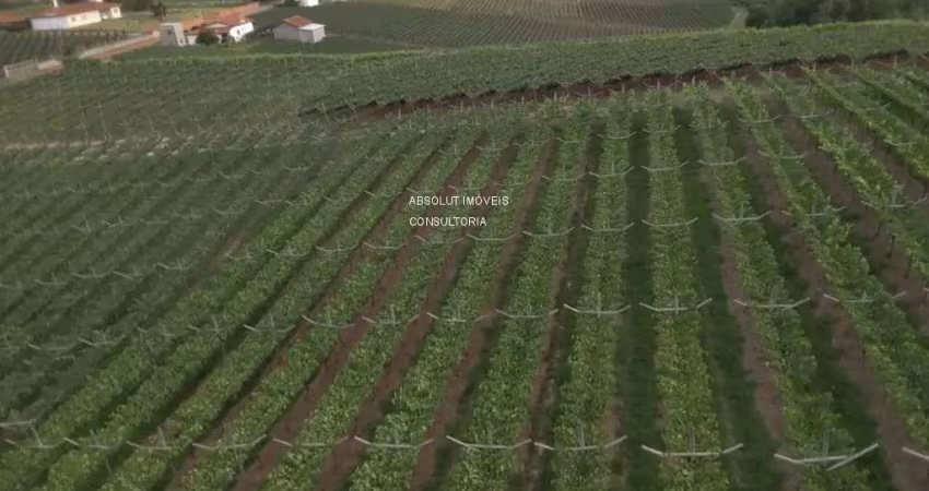 Chácara / sítio com 2 quartos à venda na Olaria, Elias Fausto 