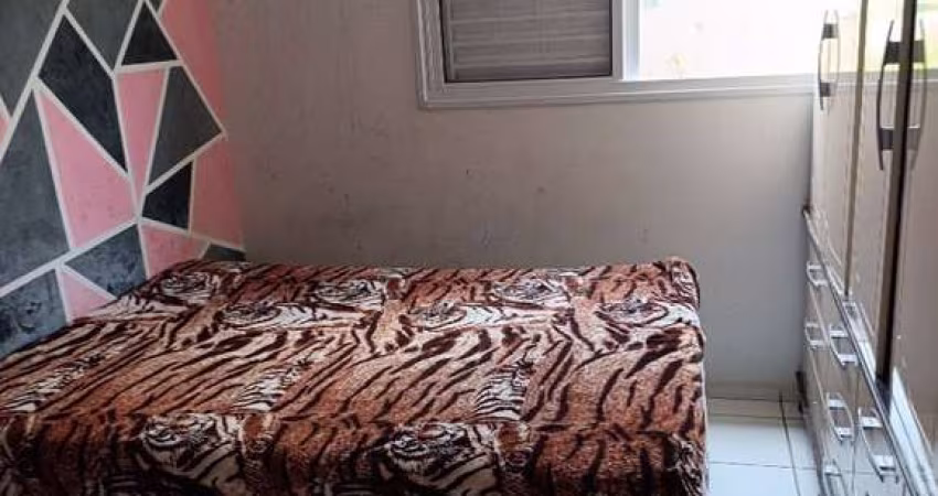 Apartamento Residencial à venda, Parque Campo Bonito, Indaiatuba - AP0246.