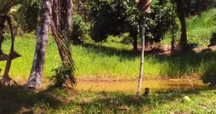Sítio para Venda em Itaparica, 5 dormitórios, 1 suíte, 2 vagas
