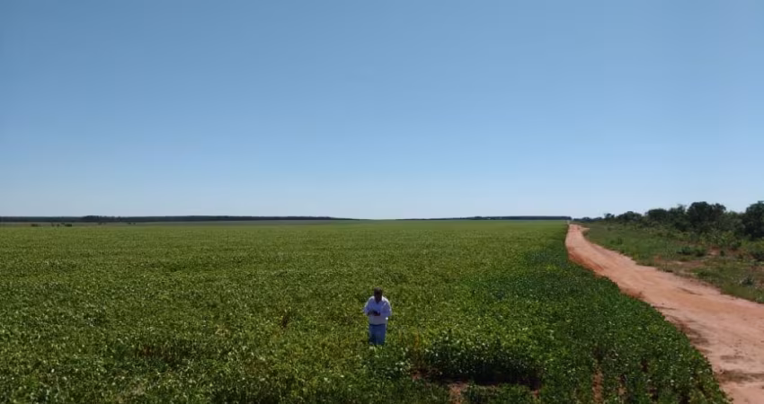 3 excelentes fazendas em Bonito de Minas-MG