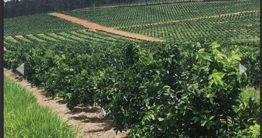 Excepcional Fazenda em Avaré-SP
