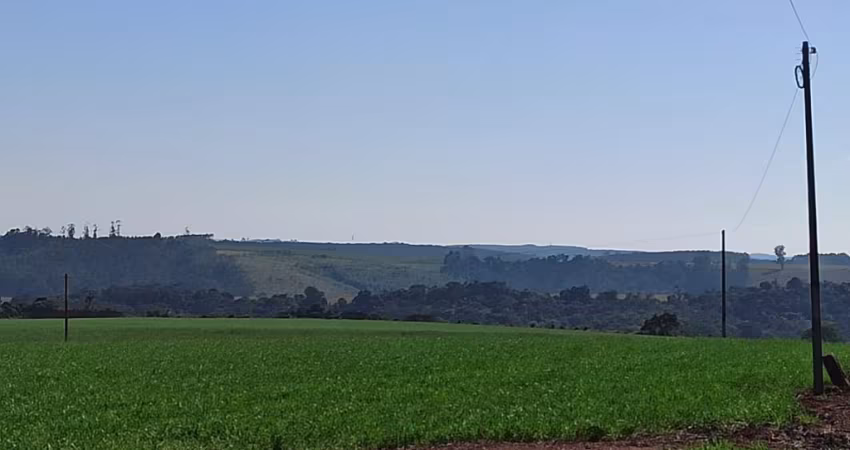 Magnífica Fazenda no Estado de São Paulo