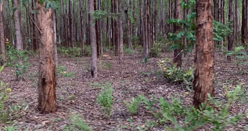 Excelente Fazenda em Brasilândia