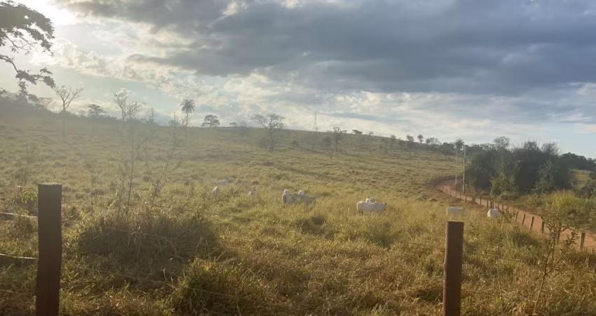 Fazenda em Matozinhos - Serve para empreendimentos imobiliários