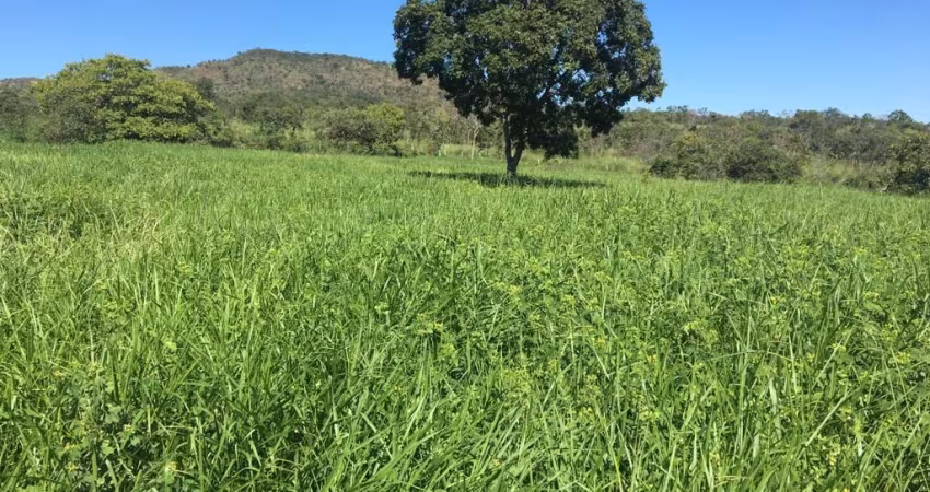 Excelente Fazenda em Lassance - Oportunidade!