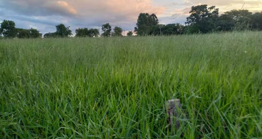Fazenda dos sonhos em Sete Lagoas-MG