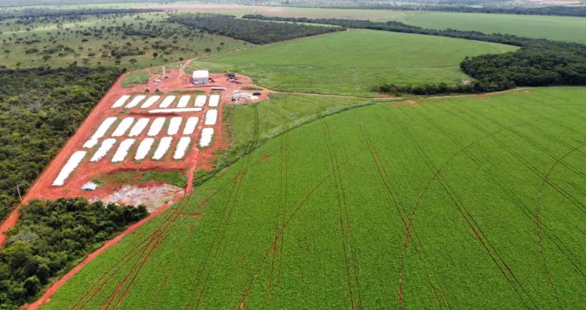 Excepcional Fazenda em Morada Nova de Minas