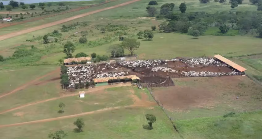 Fazenda à venda na Área Rural de Aroazes, Aroazes 