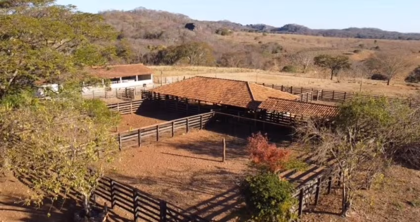 Fazenda dos Sonhos à venda