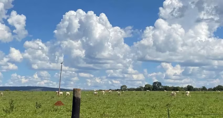 Fazenda à venda na Zona Rural, Caetanópolis 