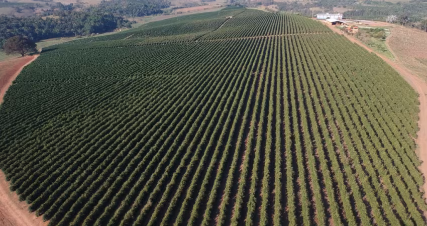 Fazenda de café em Espera Feliz -MG com porteira fechada